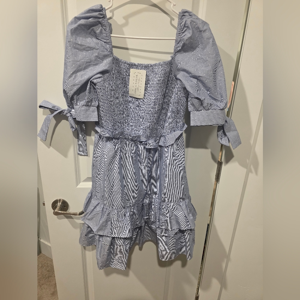 Erica Logan Blue Puff Sleeve Ruffle Dress NWT | Size Large | Originally $130